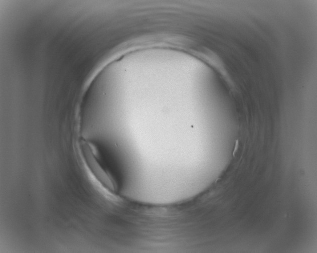 X0000081281524200702081939