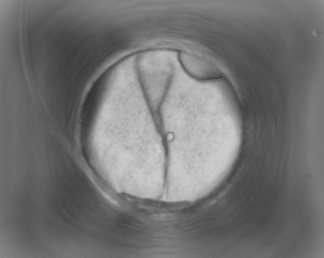 X0000081281525200702081939