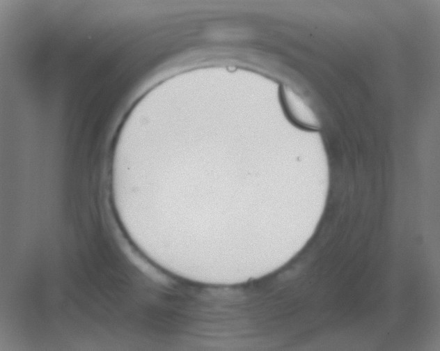 X0000081281526200702081939