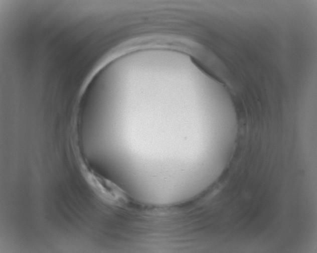 X0000081281530200702081939