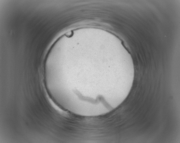 X0000081281531200702081939