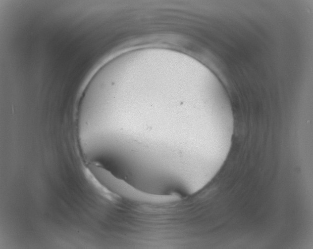 X0000081281532200702081939