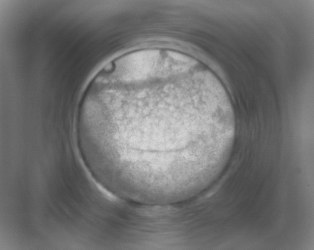 X0000081281533200702081940