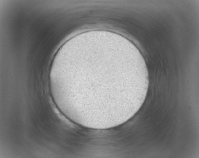 X0000081281534200702081940