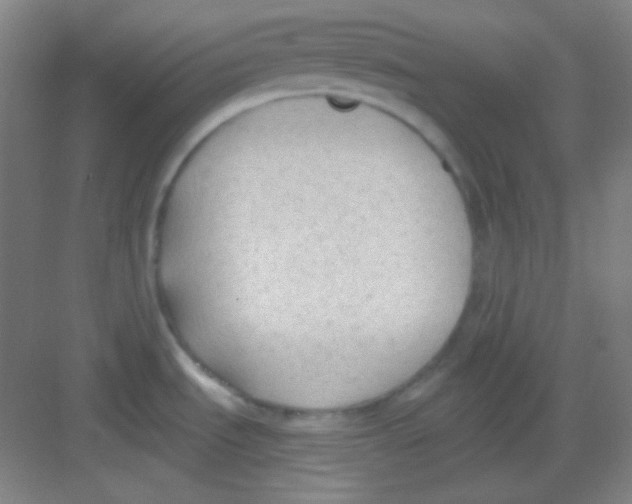 X0000081281535200702081940