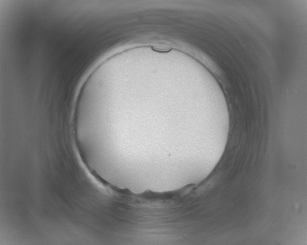 X0000081281536200702081940