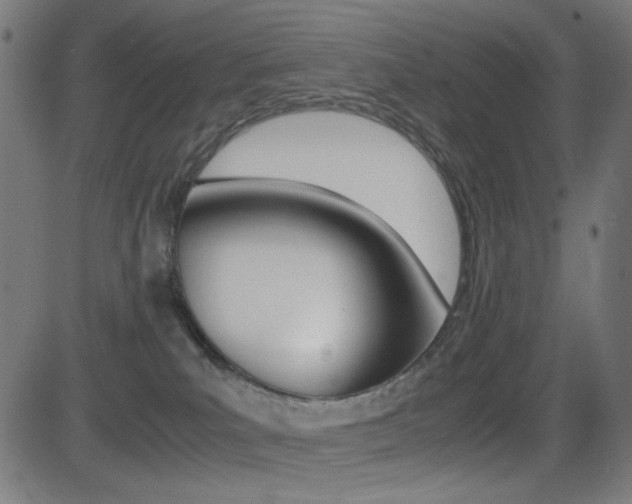 X0000081290039200701110920