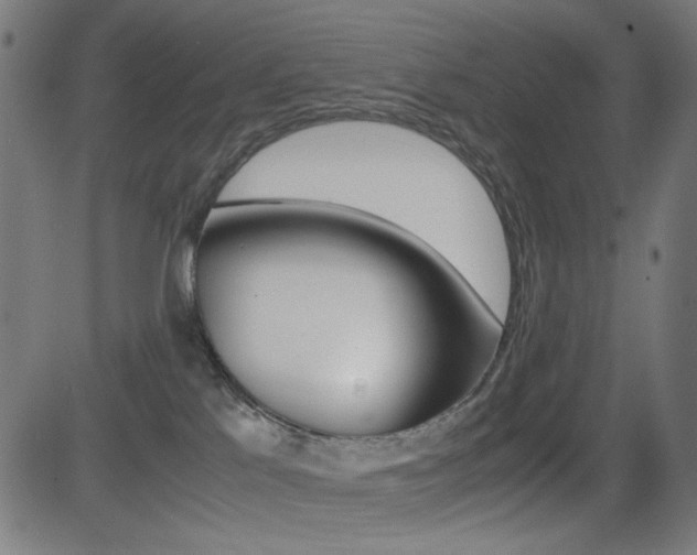 X0000081290041200701110920