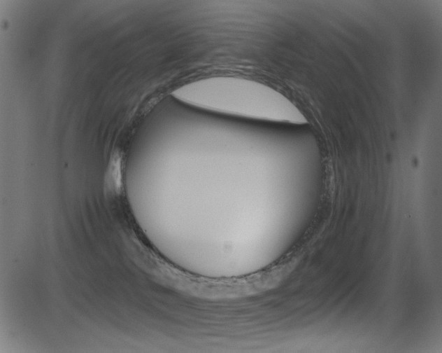 X0000081290042200701110920