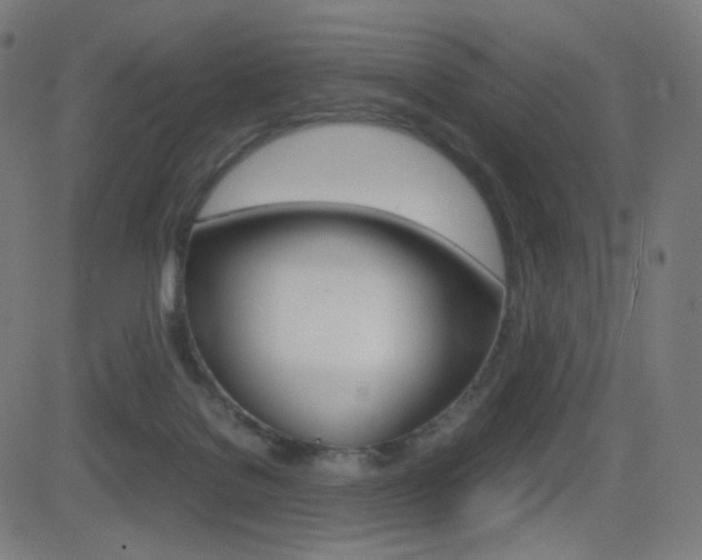 X0000081290076200701110919