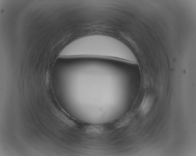 X0000081290077200701110919