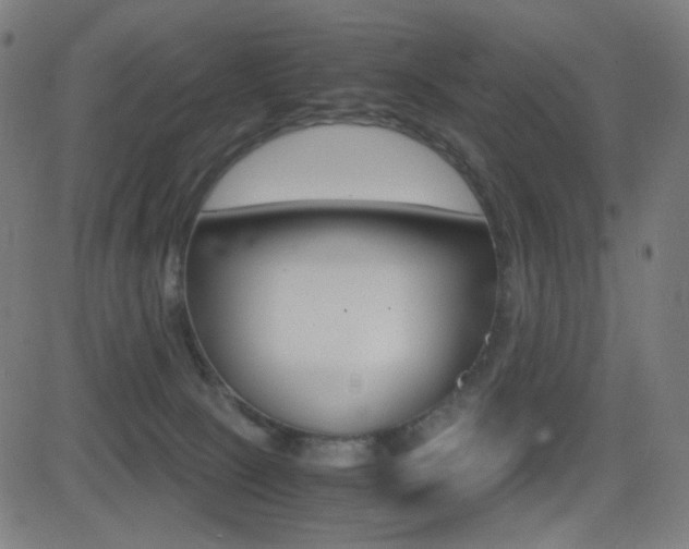 X0000081290081200701110919