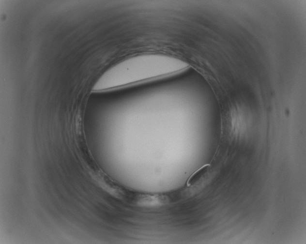 X0000081290083200701110919