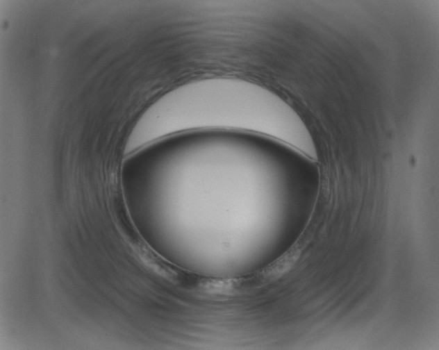 X0000081290084200701110919
