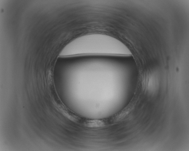 X0000081290087200701110919