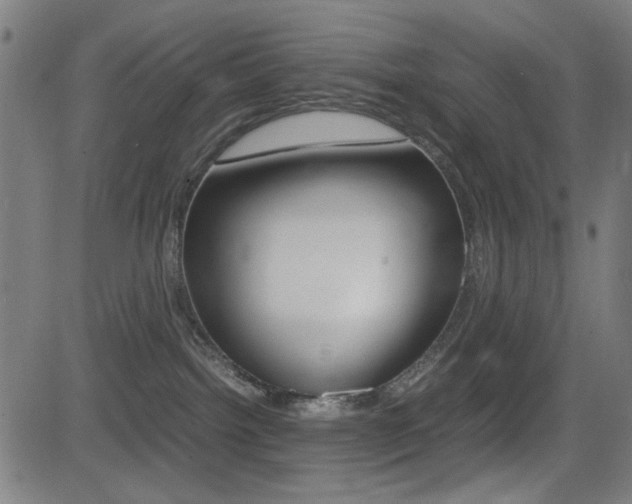 X0000081290092200701110919