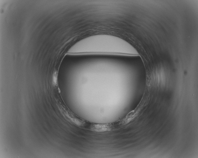 X0000081290095200701110920