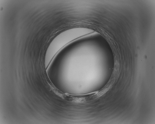 X0000081290096200701110920