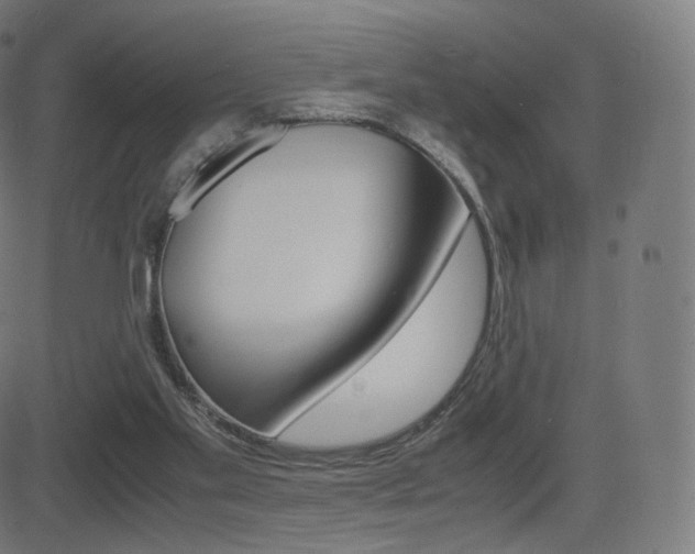 X0000081290109200701110919