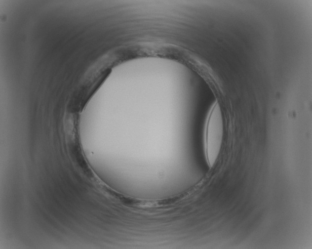 X0000081290121200701110918