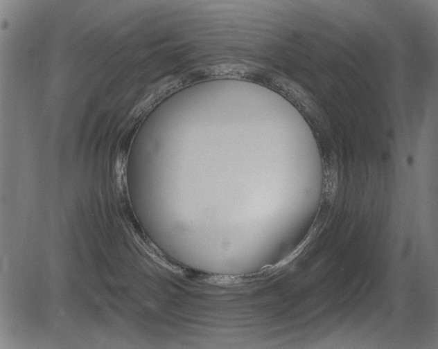 X0000081290142200701110918