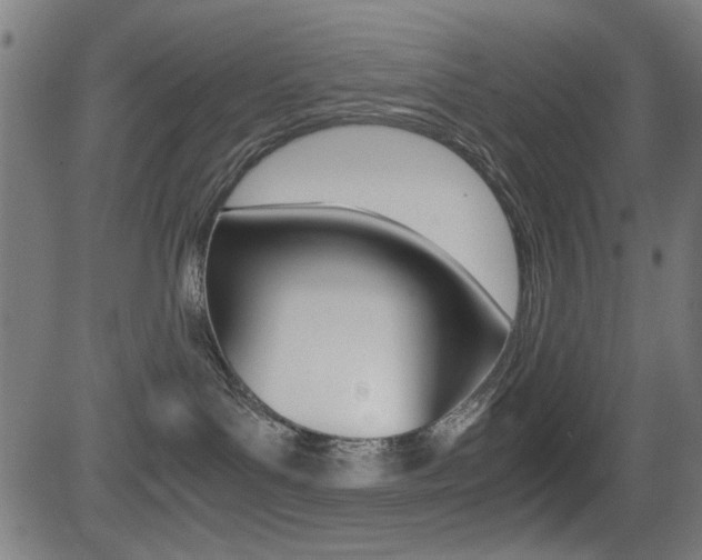 X0000081290143200701110918