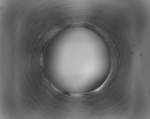 X0000081290144200701110918