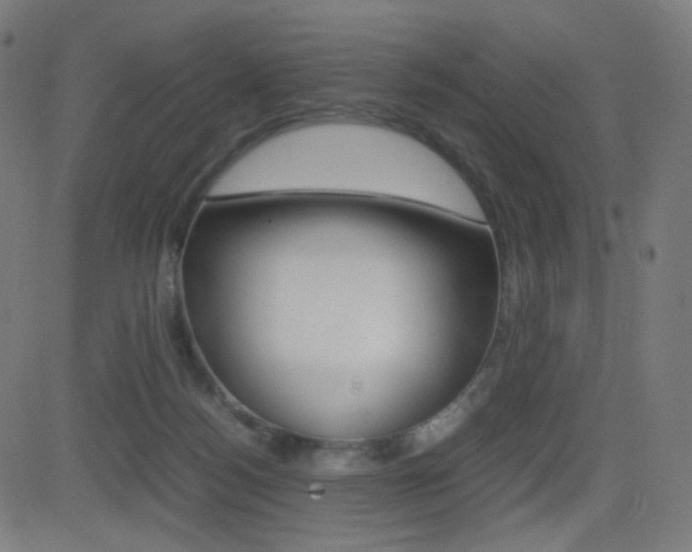 X0000081290172200701110918