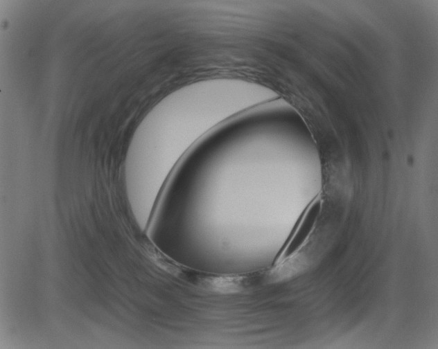 X0000081290184200701110918