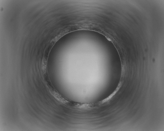 X0000081290186200701110918