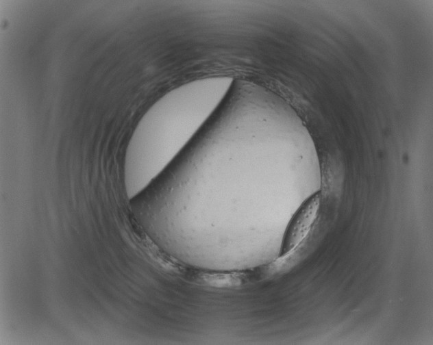 X0000081290187200701110918