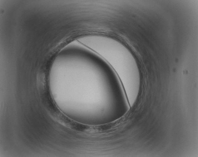 X0000081290211200701110917