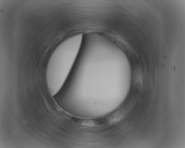 X0000081290214200701110917