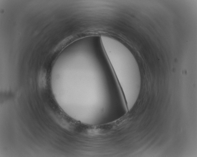 X0000081290216200701110917