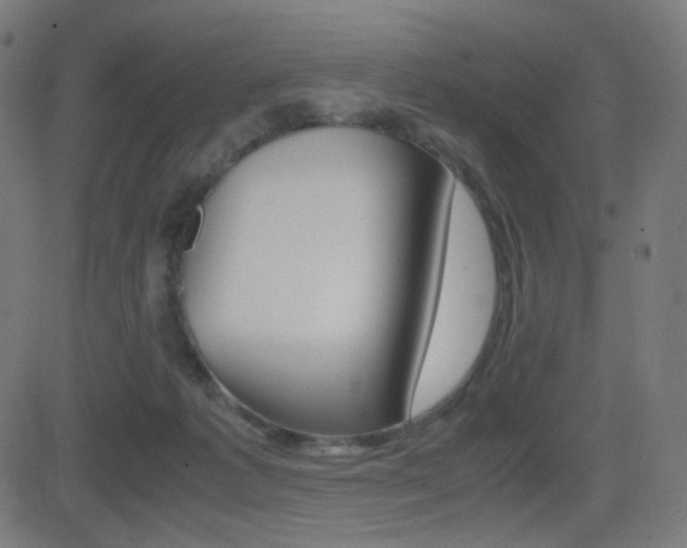 X0000081290221200701110917