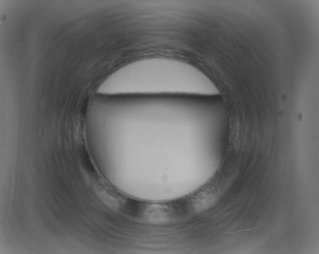 X0000081290222200701110917
