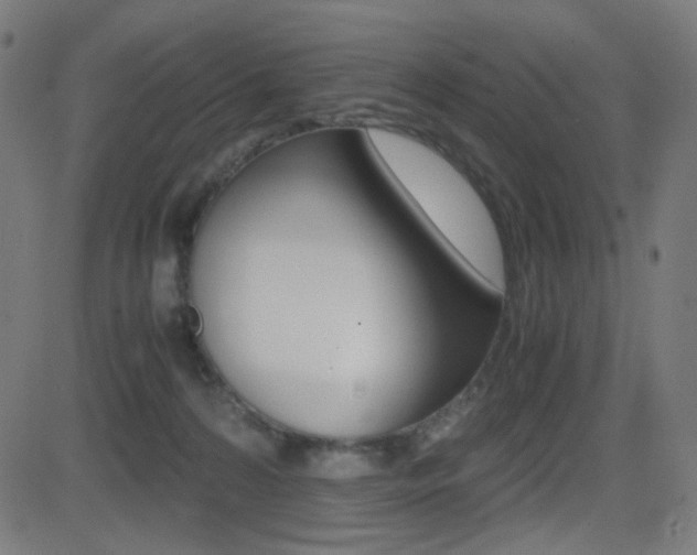 X0000081290224200701110917