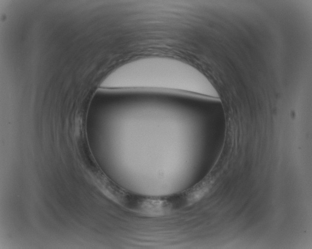 X0000081290227200701110917