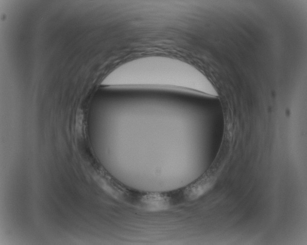 X0000081290231200701110917