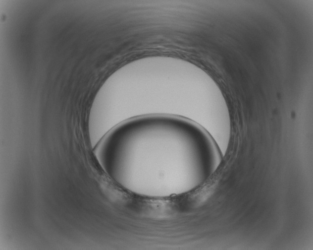 X0000081290233200701110916