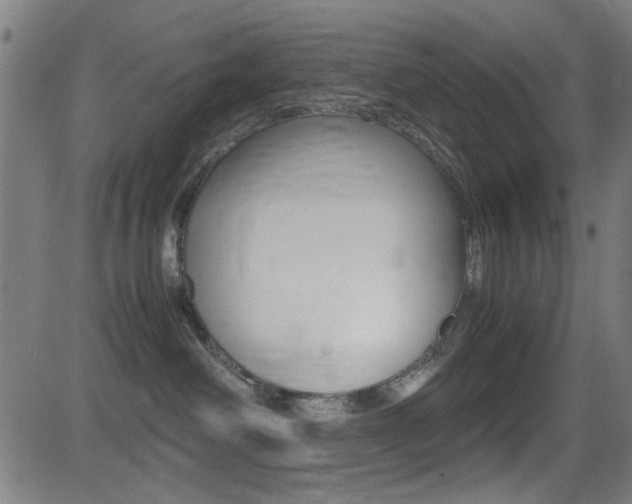 X0000081290238200701110916