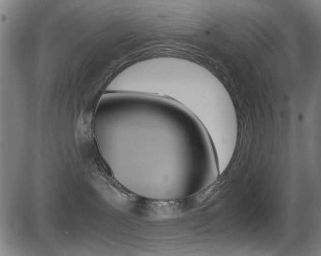X0000081290239200701110916
