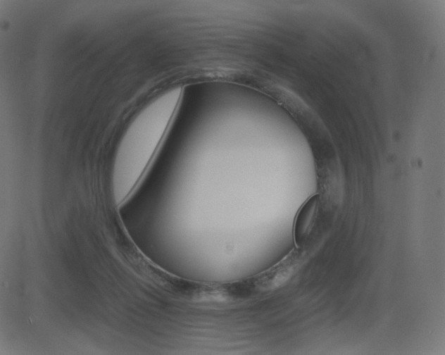 X0000081290262200701110916