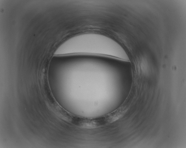 X0000081290263200701110916