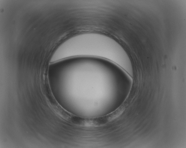 X0000081290264200701110916