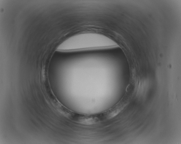X0000081290267200701110916