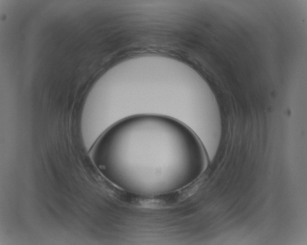X0000081290268200701110916