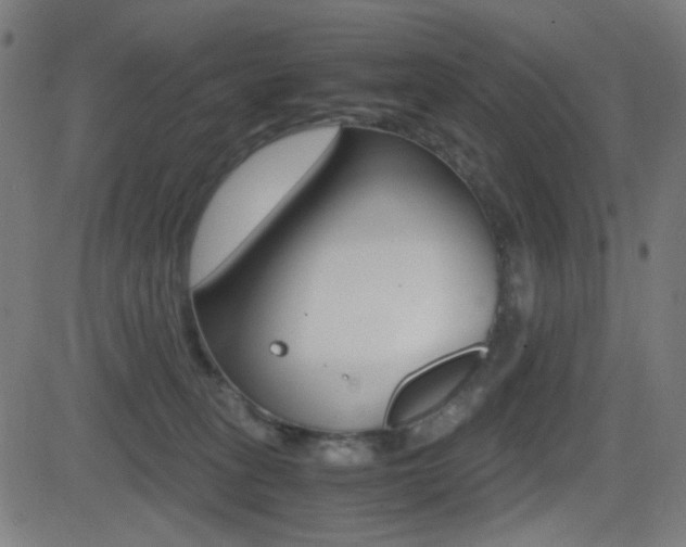 X0000081290275200701110916