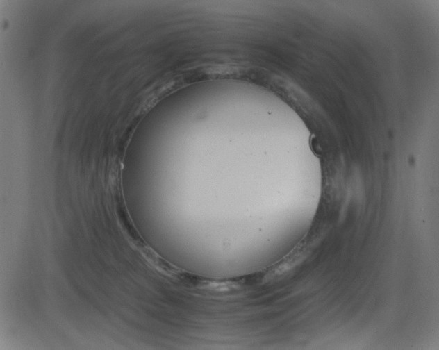 X0000081290277200701110916