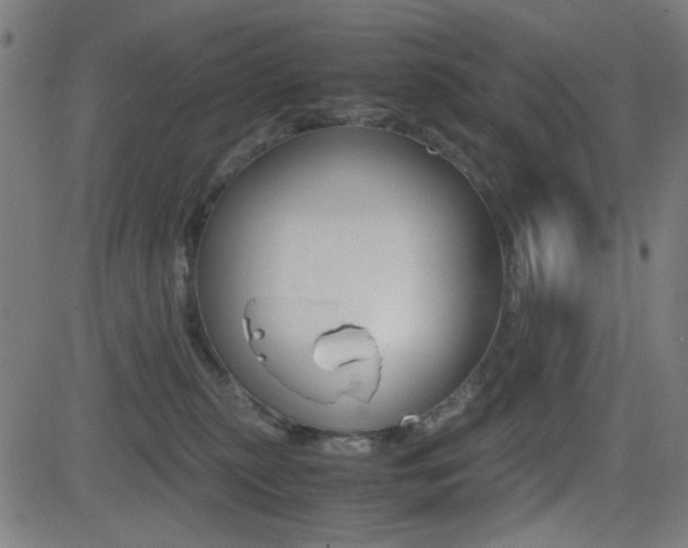 X0000081290279200701110916
